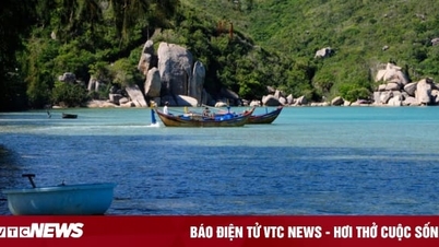 Erleben Sie den Dam Mon-Tourismus in Khanh Hoa