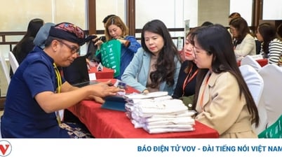 Quảng bá tour du lịch Indonesia ngắm rồng Komodo tới du khách Việt
