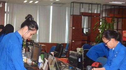 Tuổi trẻ Hội Luật gia Việt Nam hưởng ứng “Ngày chủ nhật xanh lần 3"