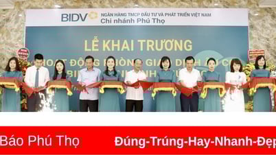 ការបើកការិយាល័យប្រតិបត្តិការ Au Co