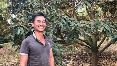 ដី​ហាំងកា​នៅ​ឡាំ​ដុង សួន​ទុរេន​តម្លៃ​ពាន់​លាន​ដុល្លារ​កំពុង​រីក​ដុះ​ដាល ម្ចាស់​ញញឹម​យ៉ាង​ស្រស់​ស្អាត