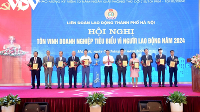 ទីក្រុងហាណូយផ្តល់កិត្តិយសដល់ 100 ឧទាហរណ៍នៃគំនិតផ្តួចផ្តើម ការច្នៃប្រឌិត និងអាជីវកម្មធម្មតា។