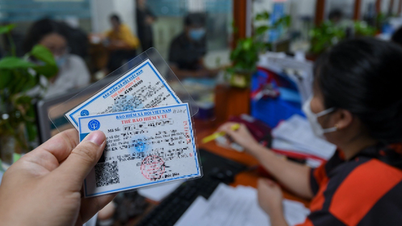 Cơ quan bảo hiểm nói gì về việc mua bảo hiểm y tế nhưng sang tỉnh khác không được trả đủ phí?