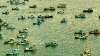 Strengthening propaganda about sea and islands in Phu Quoc city