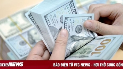 How much is 1,000 USD in Vietnamese currency?