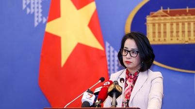 トゥチン礁における中国によるベトナムの主権侵害に抗議