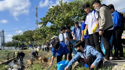 Can Tho ចាប់ផ្តើមយុទ្ធនាការយុវជនស្ម័គ្រចិត្តរដូវក្តៅ
