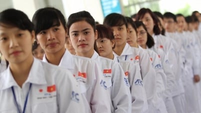 Nghiêm cấm sa thải thực tập sinh mang thai
