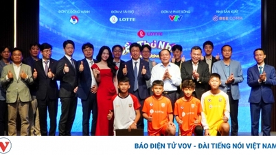 VFF signs "special" contract for the future of Vietnamese football