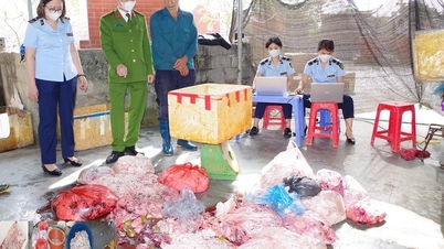 Phát hiện hơn 1 tấn nội tạng lợn bốc mùi hôi thối nồng nặc