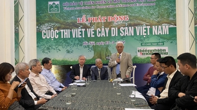 បើកការប្រលងសរសេរលើដើមឈើបេតិកភណ្ឌវៀតណាម