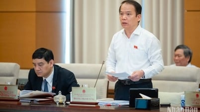 Không lấy phiếu tín nhiệm đối với người nghỉ chữa bệnh hiểm nghèo