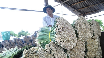 គំរូជីវភាពរស់នៅដ៏ឆ្លាតវៃ សម្របខ្លួនទៅនឹងការប្រែប្រួលអាកាសធាតុ