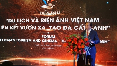 'Du lịch và Điện ảnh Việt Nam