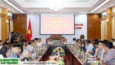 GDP របស់ Binh Dinh