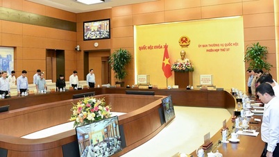សម័យប្រជុំលើកទី៣៧ នៃគណៈកម្មាធិការអចិន្ត្រៃយ៍រដ្ឋសភា ចាប់ផ្តើមដំណាក់កាលទី២។