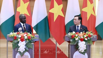 Mở cơ hội hợp tác mới giữa Việt Nam và Bờ Biển Ngà