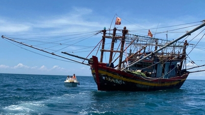 Timely rescue of 3 fishermen whose boat sank at sea in Quang Tri