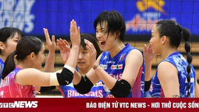 Thanh Thúy lọt Top 5 VĐV hiệu suất tốt nhất giải bóng chuyền Nhật Bản