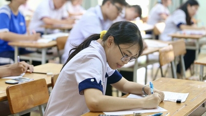 Truyền thông đa phương tiện dẫn đầu điểm chuẩn ở Trường ĐH KHXH&NV