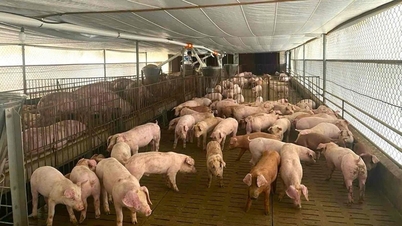 An manchen Orten kommt es zu gemischten Schwankungen.