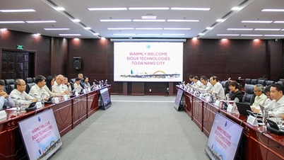 Da Nang: Promoting investment in the semiconductor sector