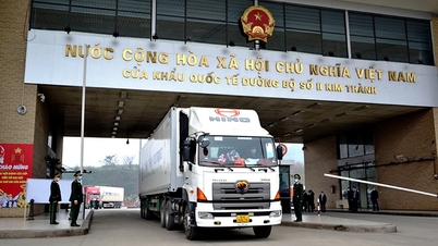 Proposal to export live seafood through border gates of Yunnan province (China)