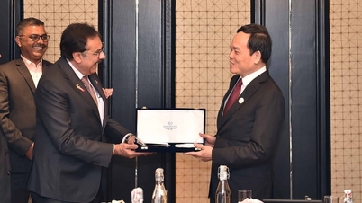 Deputy Prime Minister Tran Luu Quang receives Honorary Consul of Vietnam in Gujarat state, India