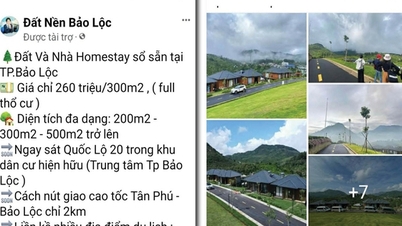 Falling into the trap of "herding chickens" to the province to buy land