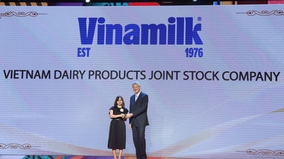 Vinamilk រក្សាការអំពាវនាវរបស់ខ្លួនជា "កន្លែងធ្វើការល្អបំផុតនៅវៀតណាម និងអាស៊ី"