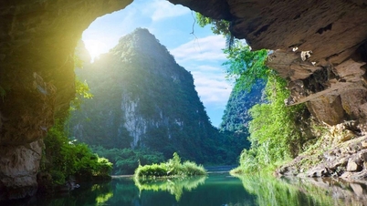 Admire the beauty of Thung Nham bird garden, Ninh Binh