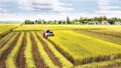 Phân bón, máy móc nông nghiệp và tàu khai thác thuỷ sản có thể phải chịu thuế 5%