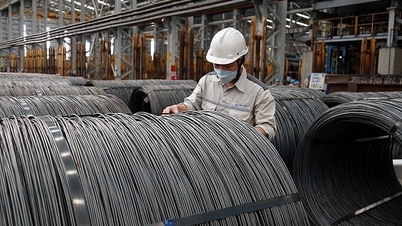 Giá thép trong nước giảm lần thứ 6 liên tiếp | Báo Gia Lai điện tử