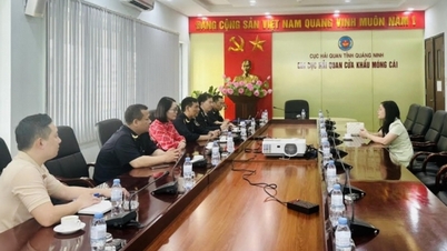 គយ Mong Cai បង្កើតថ្មី ដើម្បីគាំទ្រ និងអមដំណើរអាជីវកម្ម
