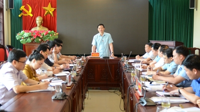 Lãnh đạo tỉnh kiểm tra, tháo gỡ khó khăn cho sản xuất chăn nuôi, thúc đẩy tăng trưởng nông nghiệp