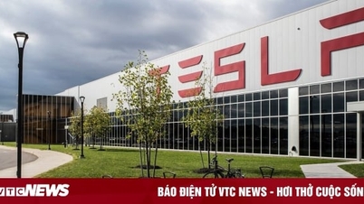Tesla ប្រើបច្ចេកវិទ្យាផលិតរបស់ចិនដើម្បីបង្កើតរោងចក្រថ្មថ្មីនៅអាមេរិក