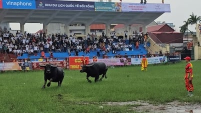 Ticket brokers offer surprises right from the first match
