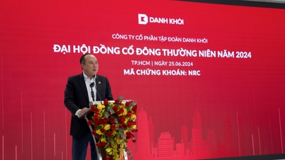 សមត្ថភាពរបស់ Danh Khoi ក្នុងការបន្តប្រតិបត្តិការត្រូវបានសង្ស័យដោយសវនករ ប្រាក់ចំណេញ "ហួត" ទៅជាការខាតបង់បន្ទាប់ពីសវនកម្ម