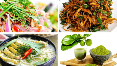 Loại lá rẻ tiền giúp kiểm soát đường huyết người bệnh tiểu nên ăn để kéo dài tuổi thọ