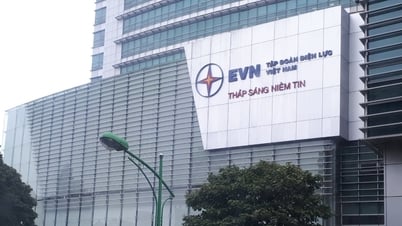 Capital Management Committee proposes to discipline EVN leaders for power shortage