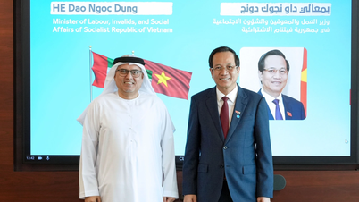 UAE sẵn sàng điều chỉnh mức lương và đãi ngộ để thu hút lao động Việt Nam