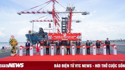 Cảng Long An hợp long 7 cầu cảng và khai trương dịch vụ khai thác container