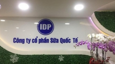 ការ​រំលាយ​ក្រុមហ៊ុន​បុត្រសម្ព័ន្ធ​បន្ទាប់​ពី​បង្កើត​បាន ៩ ខែ