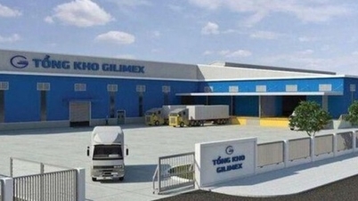Gilimex chốt quyền trả cổ tức năm 2023 bằng cổ phiếu, tỷ lệ 45,2%
