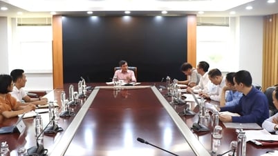 Làm sạch dữ liệu đất đai, thông tin nhà ở trong cơ sở dữ liệu đất đai quốc gia