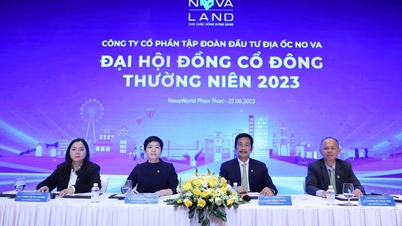 Sếp Novaland: Cổ đông lớn không tháo chạy khỏi công ty