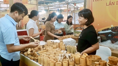 សកម្មភាពជាបន្តបន្ទាប់ដ៏រំភើបដើម្បីជំរុញទេសចរណ៍ និងការដើរទិញឥវ៉ាន់នៅចុងឆ្នាំ