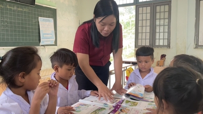 Quảng Ngãi tuyển gần 750 giáo viên trước học kỳ 2 năm học 2024