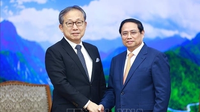 នាយករដ្ឋមន្ត្រី Pham Minh Chinh បានទទួលជួបឯកអគ្គរដ្ឋទូតជប៉ុនដែលបានមកនិយាយលា។
