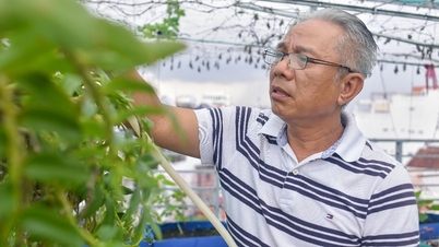 ទ្រុង ដាន់៖ ត្រូវ​គេ​ចំអក​ថា​បើក​ឡាន​ខូច​ U60 សប្បាយ​ចិត្ត​ជាមួយ​ "ប្រពន្ធ​តែងតាំង"